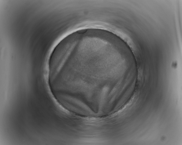 X0000102521520200808221829