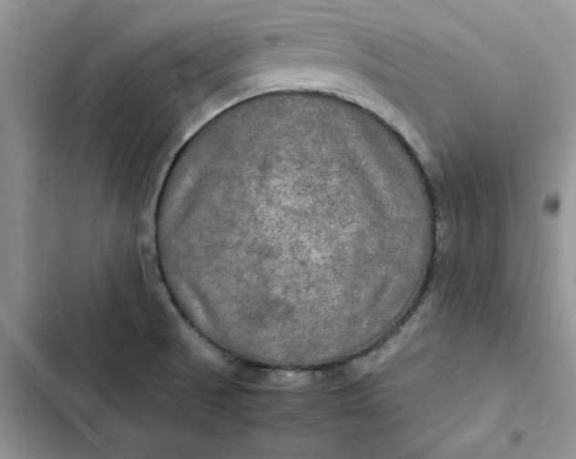 X0000102521521200808221829