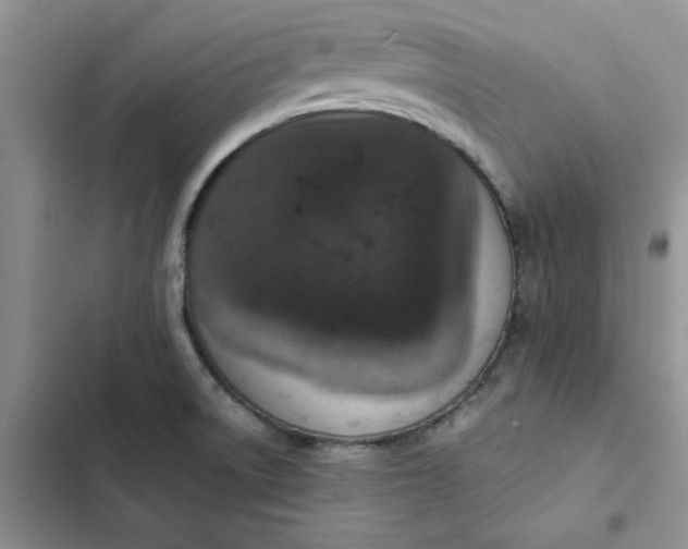 X0000102521522200808221829