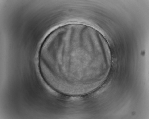 X0000102521523200808221829