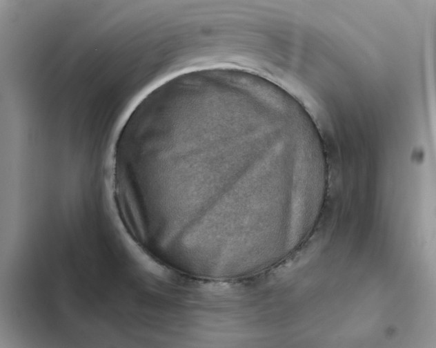 X0000102521524200808221829