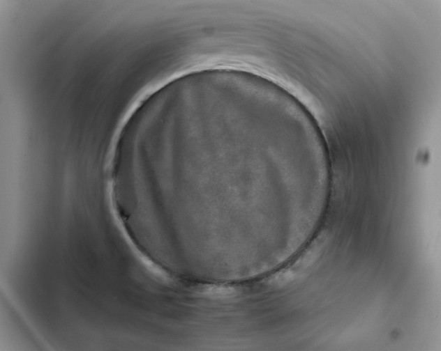 X0000102521525200808221829