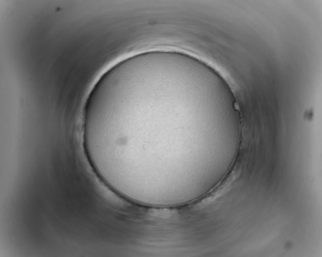 X0000102521526200808221829