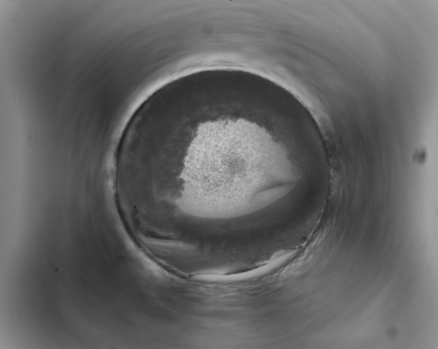 X0000102521527200808221829