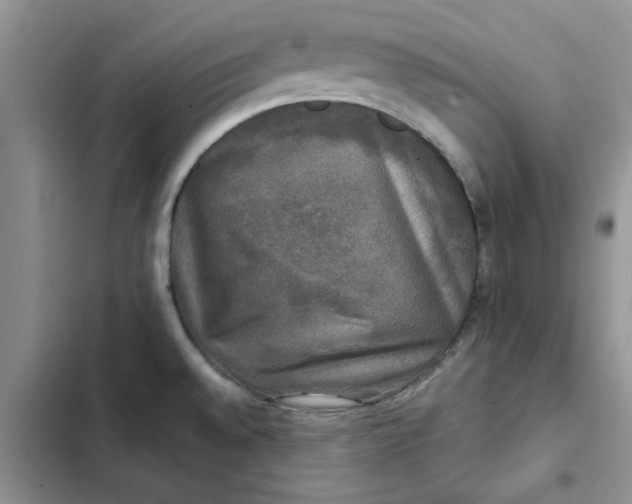 X0000102521528200808221829