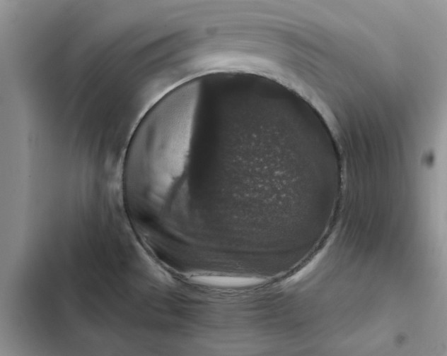 X0000102521529200808221829