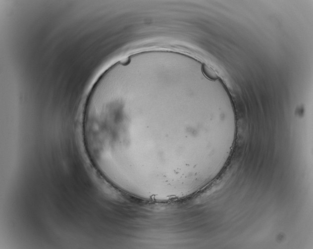 X0000102521530200808221829