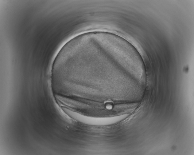 X0000102521532200808221829