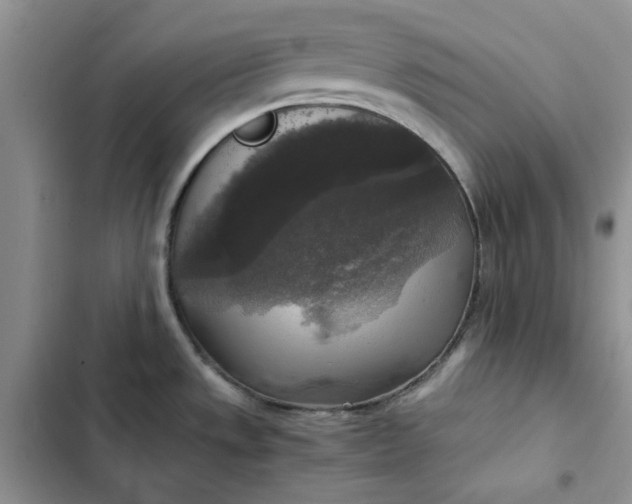 X0000102521533200808221829