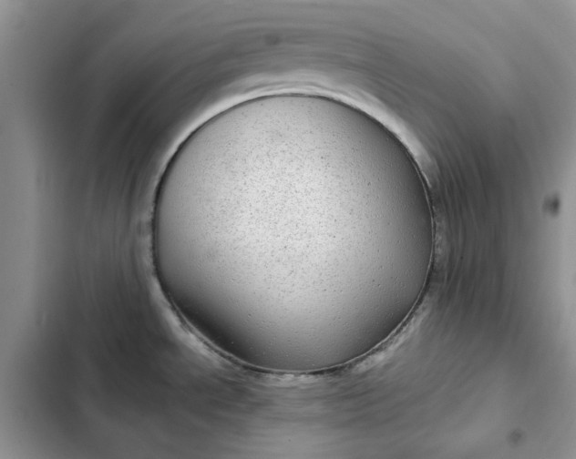 X0000102521534200808221829