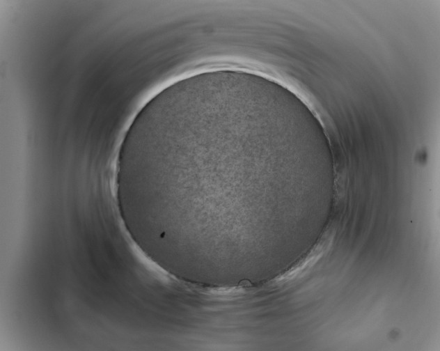 X0000102521535200808221829