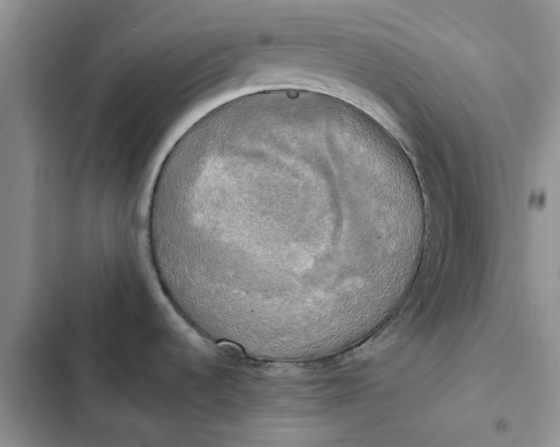 X0000102521536200808221829