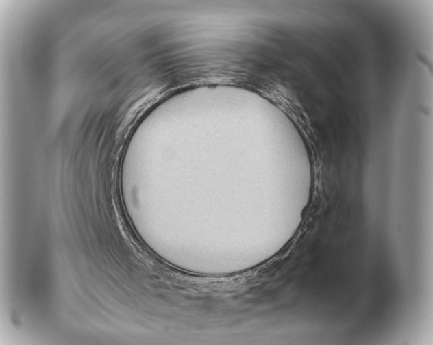 X0000102520001200808291808