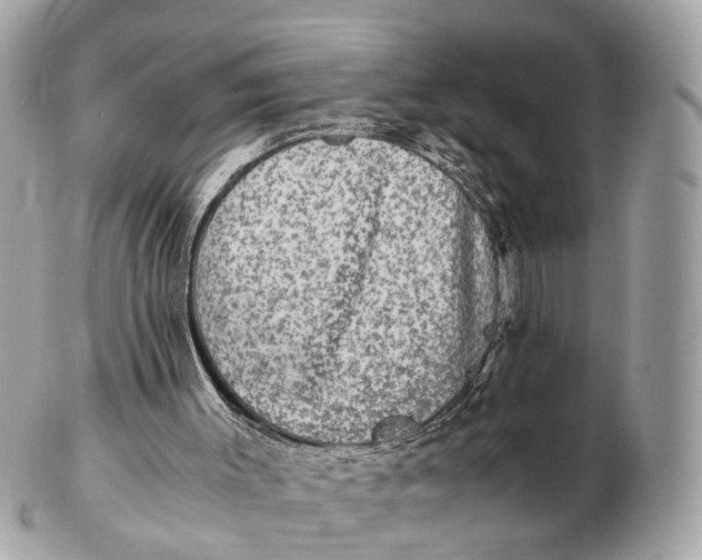 X0000102520003200808291808