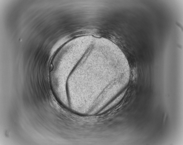 X0000102520004200808291808