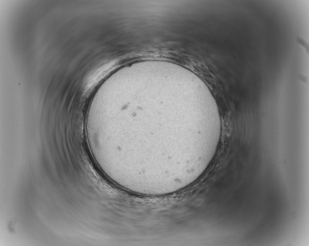 X0000102520005200808291808