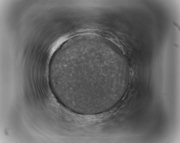 X0000102520006200808291807