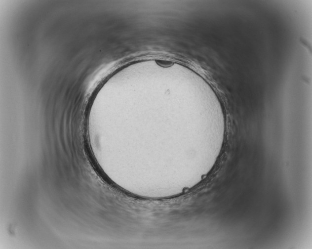 X0000102520007200808291807