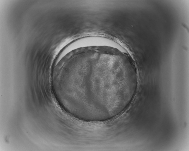 X0000102520008200808291807