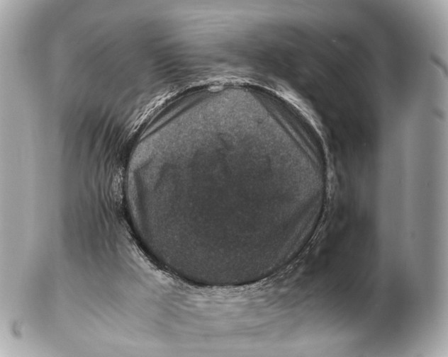 X0000102520009200808291807