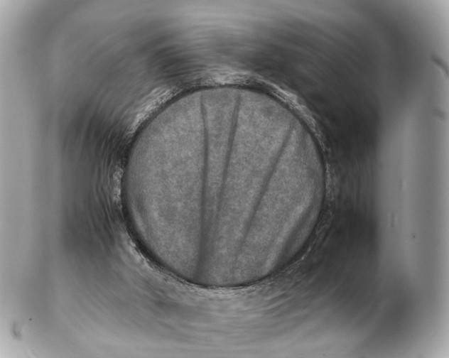 X0000102520010200808291807