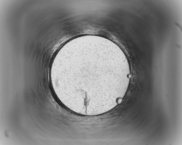 X0000102520011200808291807