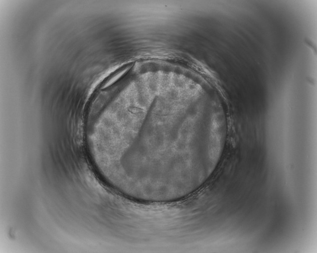 X0000102520012200808291807