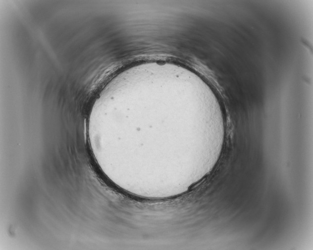 X0000102520013200808291807