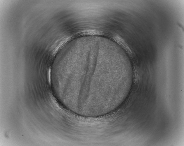 X0000102520014200808291807