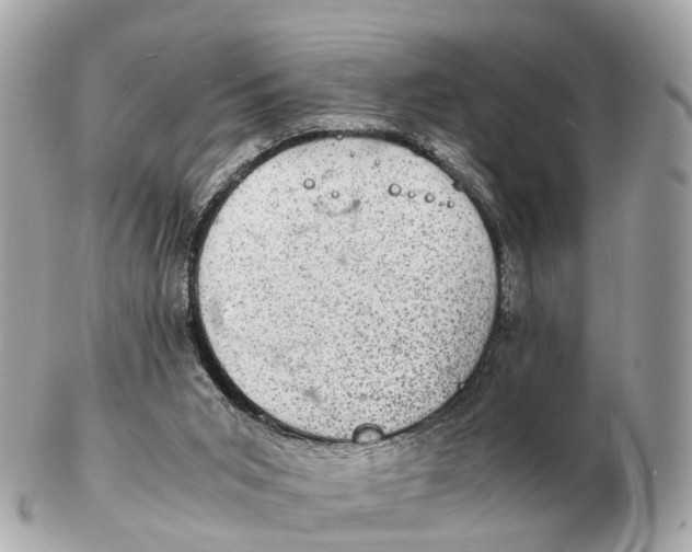 X0000102520015200808291807