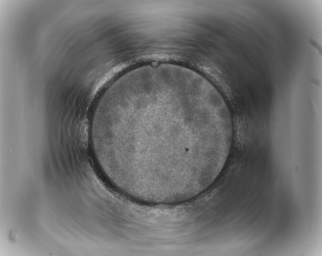 X0000102520016200808291807