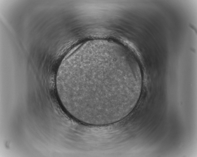 X0000102520017200808291807