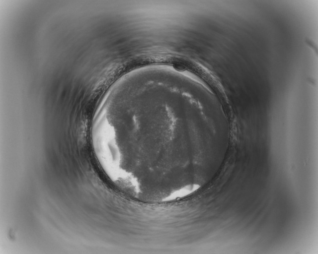 X0000102520018200808291807