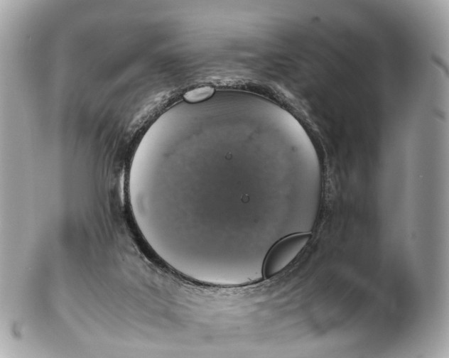 X0000102520019200808291807