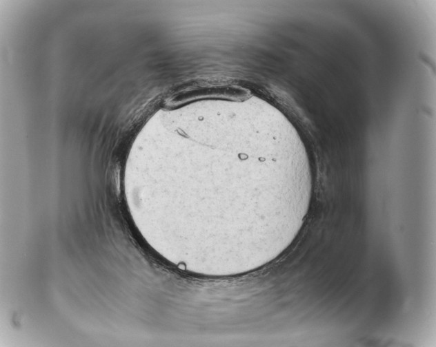 X0000102520021200808291807