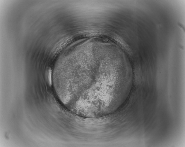 X0000102520022200808291807