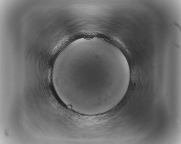 X0000102520023200808291807