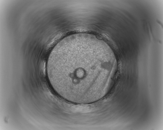 X0000102520024200808291807