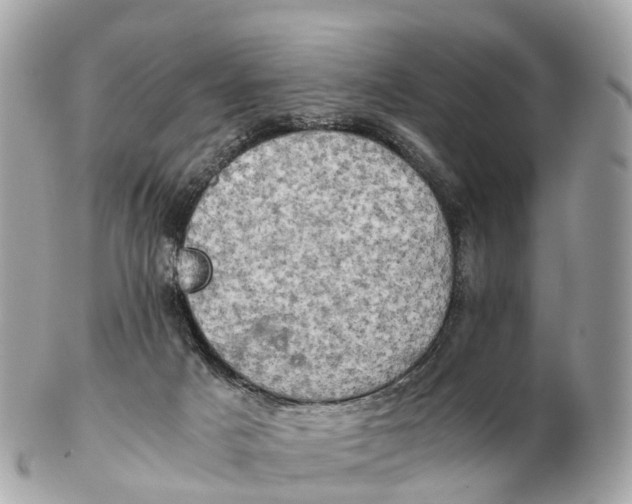 X0000102520025200808291807