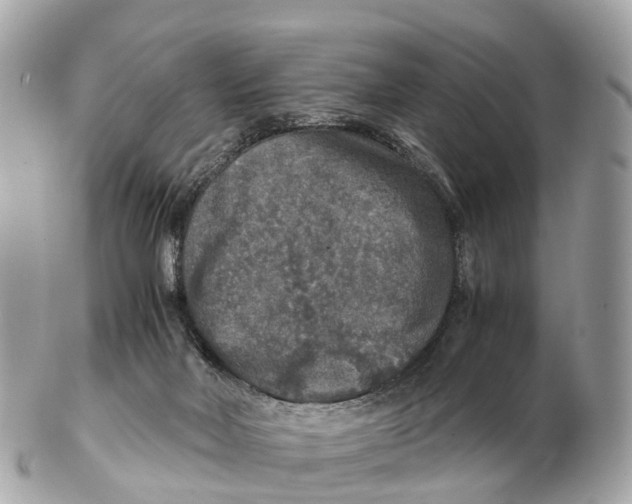 X0000102520026200808291807