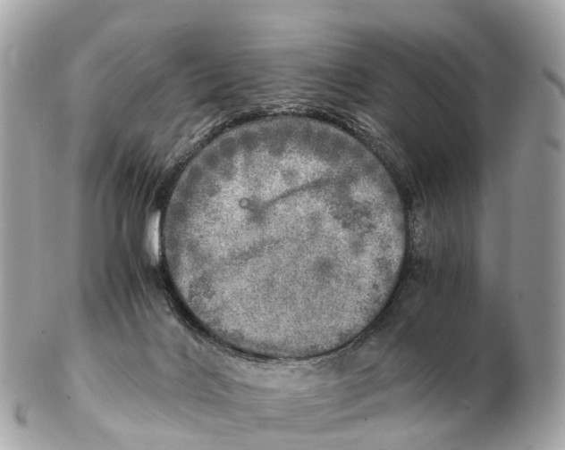 X0000102520028200808291807