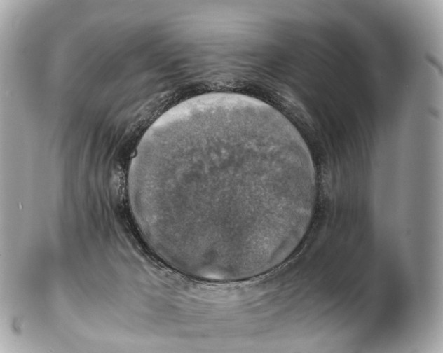 X0000102520029200808291807