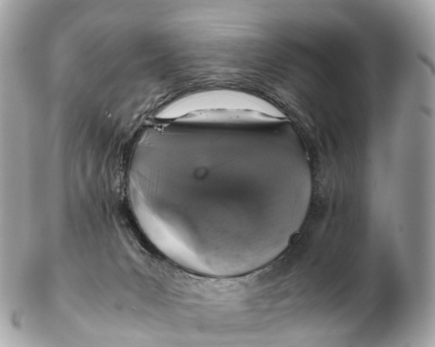 X0000102520031200808291807