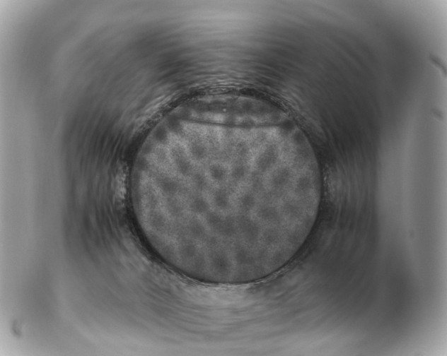 X0000102520032200808291807