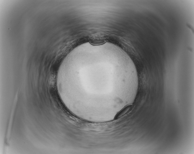 X0000102520033200808291807