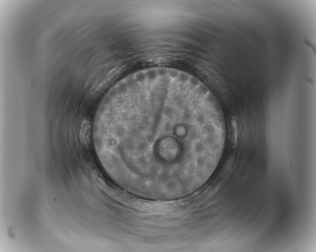 X0000102520036200808291807