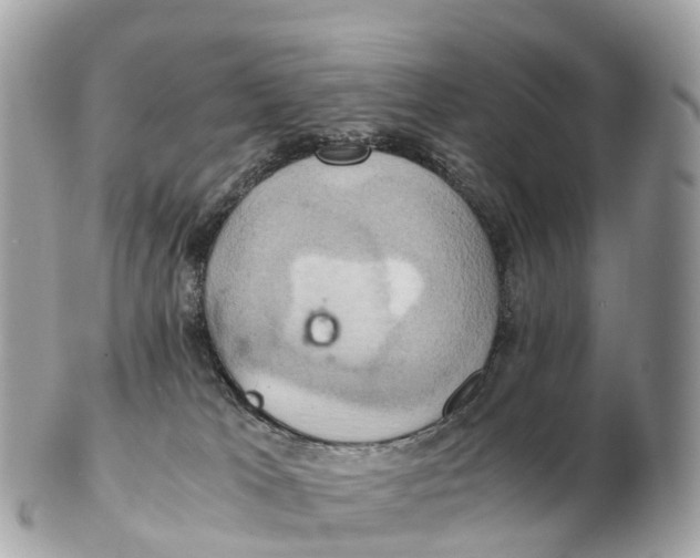 X0000102520037200808291807