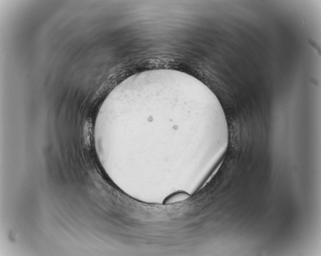 X0000102520038200808291807