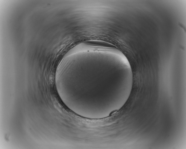 X0000102520039200808291807