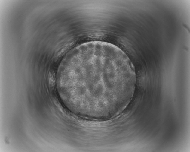 X0000102520040200808291807